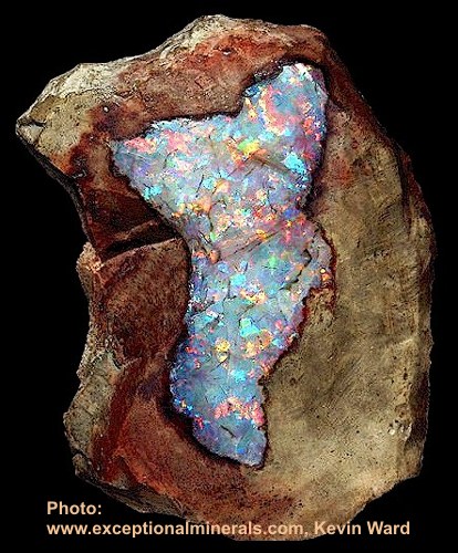 big%20opal%20black%2002.jpg