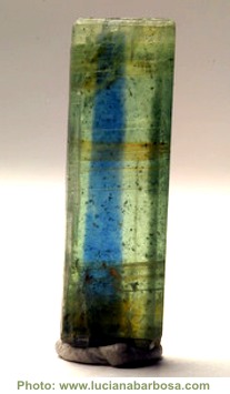 Pierre Naturelle Kyanite (Disthène) 2,89 Carats - Brute, Neuve